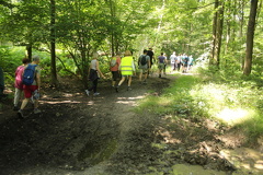 IMG 3165