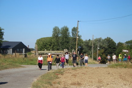 IMG 3748