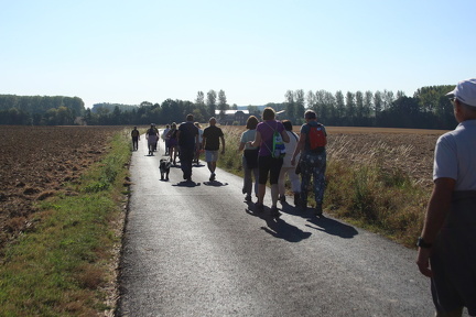 IMG 3746