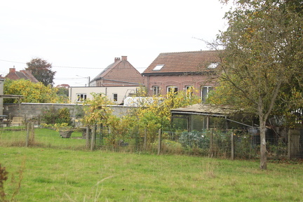 IMG 3799