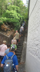 IMG 7267