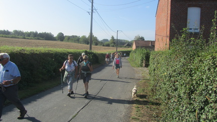 IMG 7302