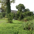 Château abandonné