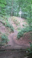 IMG 5786