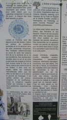 IMG 5787
