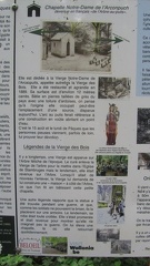 IMG 5788