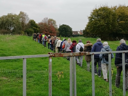 d7032534-82e1-43a2-9e70-f1e2dea329b4