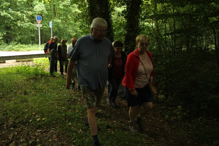 IMG 3091