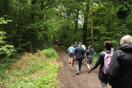 IMG 3094