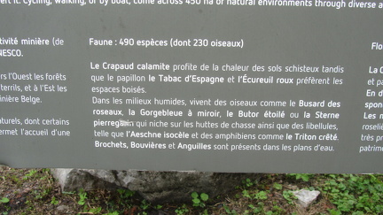 IMG 6639