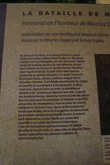 IMG 3706