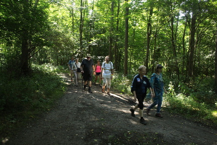 IMG 3717