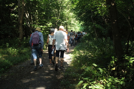 IMG 3718