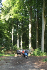 IMG 3719
