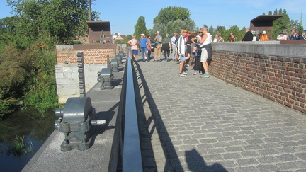 IMG 6686