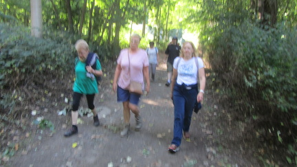 IMG 6693