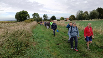 cfe0ab07-58e1-496d-89e0-99991dc91325