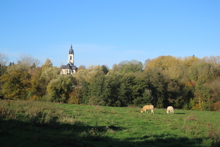 IMG 3841