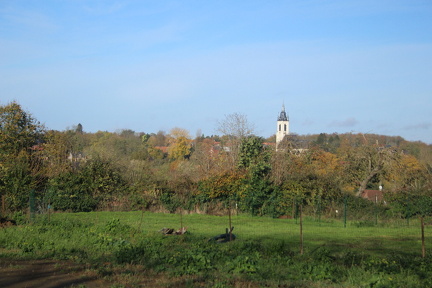 IMG 3848