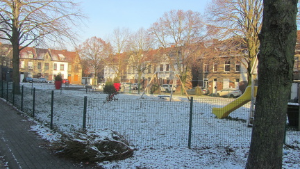IMG 6875