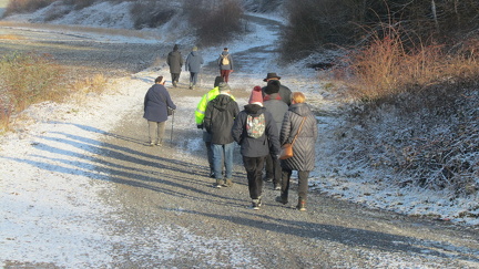 IMG 6890