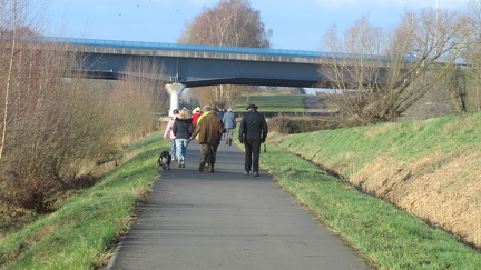 IMG 7008