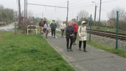 IMG 7061