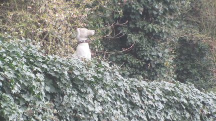 IMG 7064