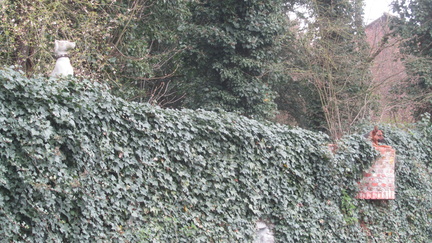 IMG 7065