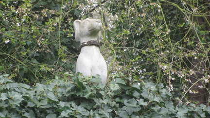 IMG 7066
