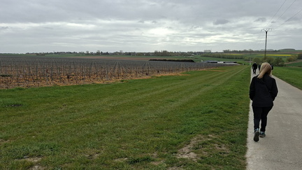 44e74289-d4ea-4f6a-a53b-3eeae38892bc