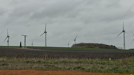 228bed74-944f-423f-86b2-b6234b83d1f6