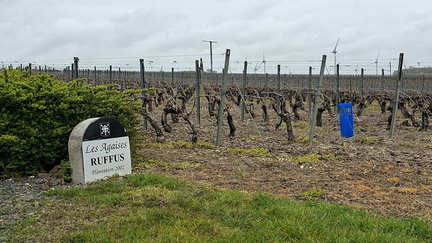 3385f7e7-c9c1-4555-9b0a-b20322cbd959