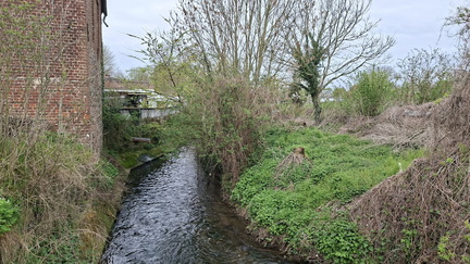 66650f6d-5381-4e21-bf16-c9982de6ef22