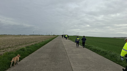 d630c9b5-3c04-4432-b267-5d0fe76d1aac