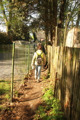 IMG 6876