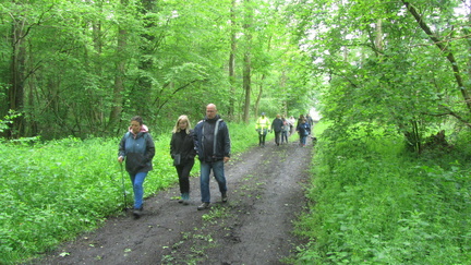 IMG 7108