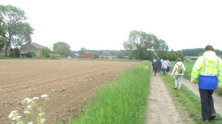 IMG 7111