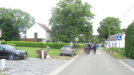 IMG 7120