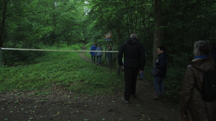 IMG 7121