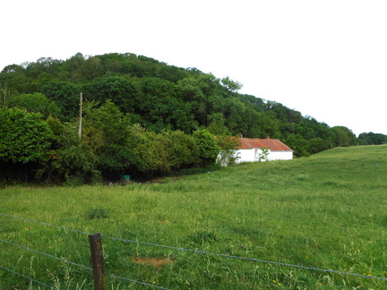DSCN1469