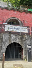 IMG 20260524 104904