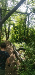 IMG 20260524 110944