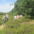 IMG 7216