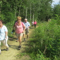 IMG 7218