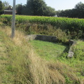 IMG 7304