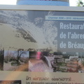 IMG 7305