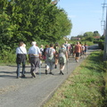 IMG 7311